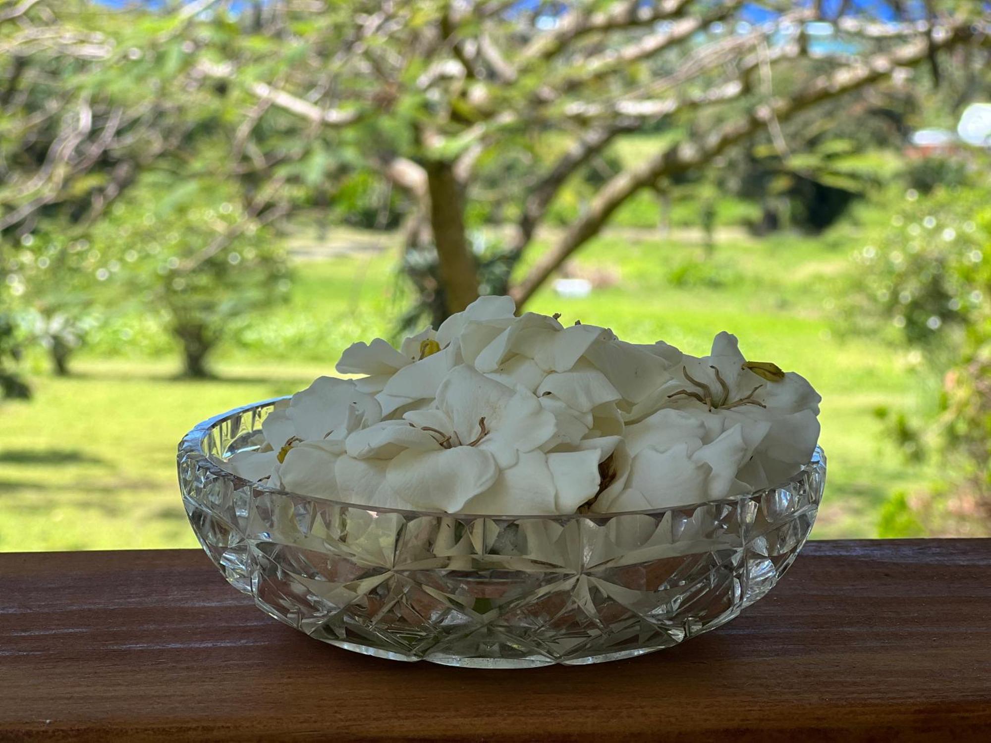 Avocado Retreat Βίλα Ραροτόνγκα Εξωτερικό φωτογραφία